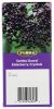 FLORA HEALTH: Sambu Guard Elderberry Crystals, 1.7 oz